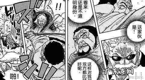 海贼王藤虎图片高清 海贼王藤虎实力