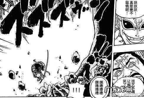 海贼王藤虎图片高清 海贼王藤虎实力