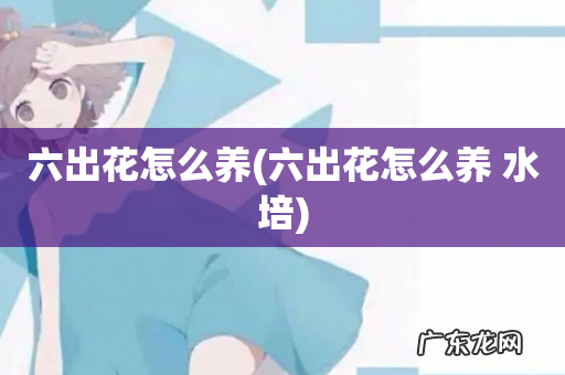 六出花怎么养 水培 六出花怎么养