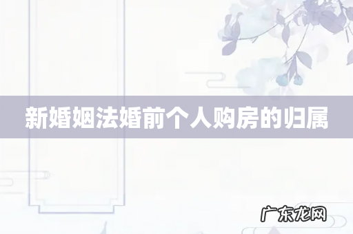 新婚姻法婚前个人购房的归属