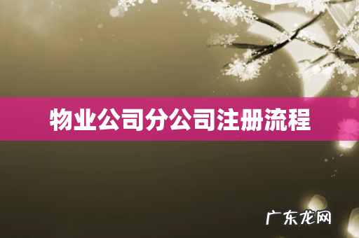 物业公司分公司注册流程