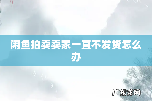 闲鱼拍卖卖家一直不发货怎么办
