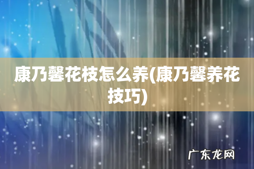 康乃馨养花技巧 康乃馨花枝怎么养