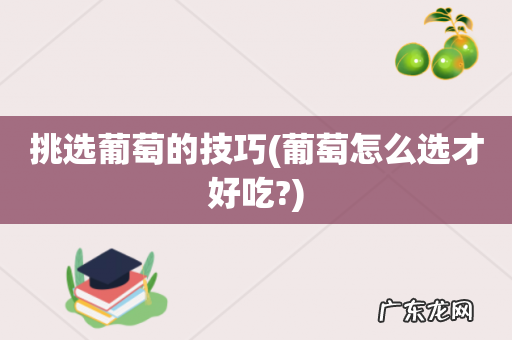 葡萄怎么选才好吃? 挑选葡萄的技巧