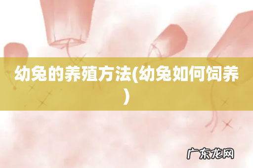 幼兔如何饲养 幼兔的养殖方法