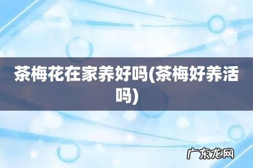茶梅好养活吗 茶梅花在家养好吗