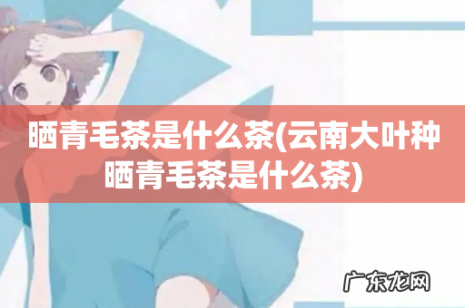 云南大叶种晒青毛茶是什么茶 晒青毛茶是什么茶