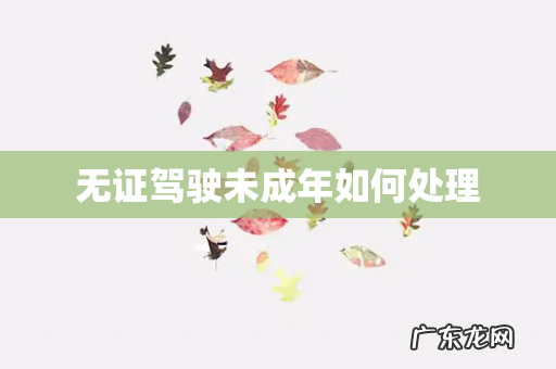 无证驾驶未成年如何处理