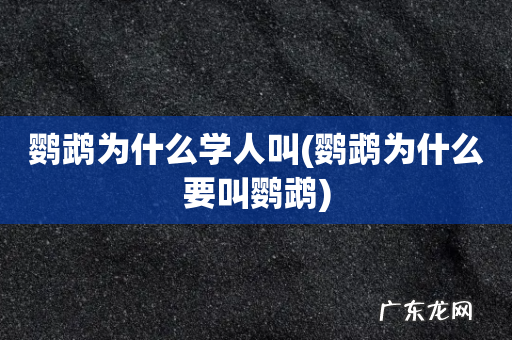 鹦鹉为什么要叫鹦鹉 鹦鹉为什么学人叫