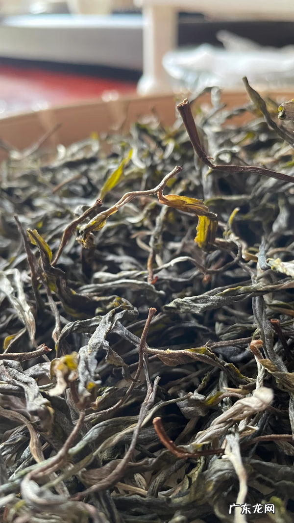 犀牛作为风水物品 犀牛塘在哪里