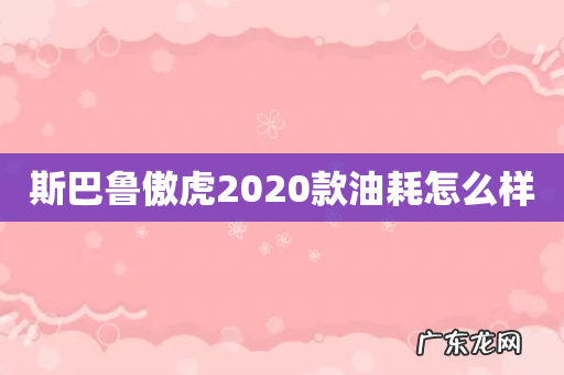 斯巴鲁傲虎2020款油耗怎么样