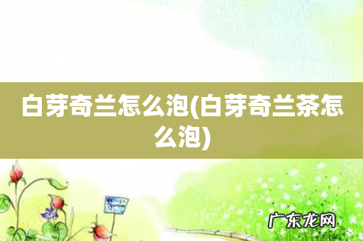 白芽奇兰茶怎么泡 白芽奇兰怎么泡