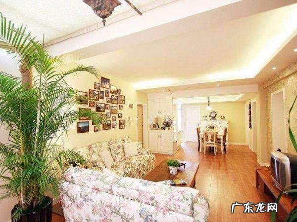 摘蔷薇的风水好吗