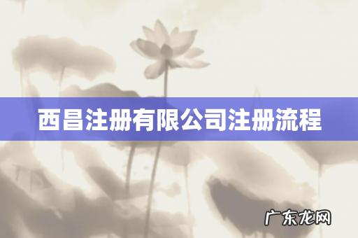 西昌注册有限公司注册流程