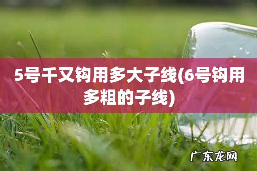 6号钩用多粗的子线 5号千又钩用多大子线