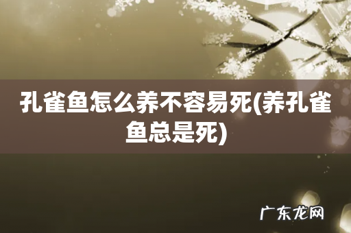 养孔雀鱼总是死 孔雀鱼怎么养不容易死