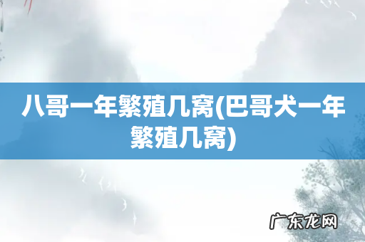巴哥犬一年繁殖几窝 八哥一年繁殖几窝
