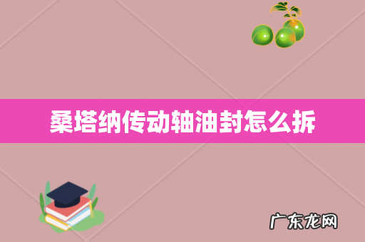 桑塔纳传动轴油封怎么拆