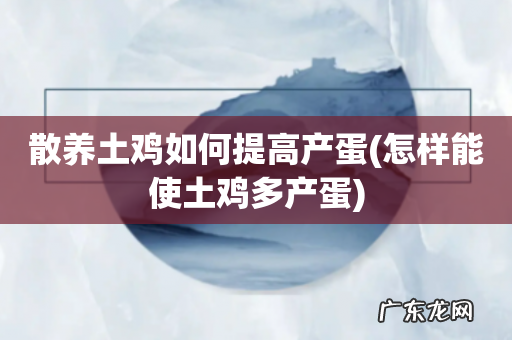 怎样能使土鸡多产蛋 散养土鸡如何提高产蛋