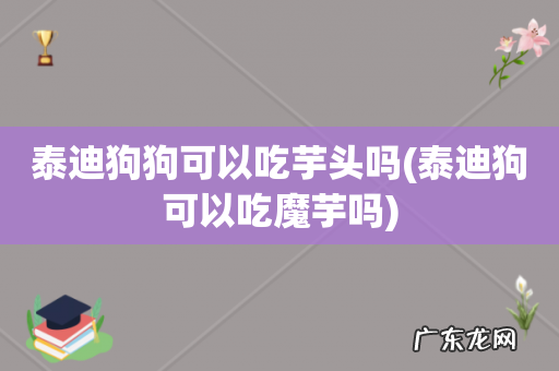 泰迪狗可以吃魔芋吗 泰迪狗狗可以吃芋头吗