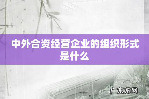 中外合资经营企业的组织形式是什么