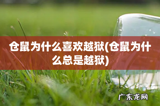 仓鼠为什么总是越狱 仓鼠为什么喜欢越狱