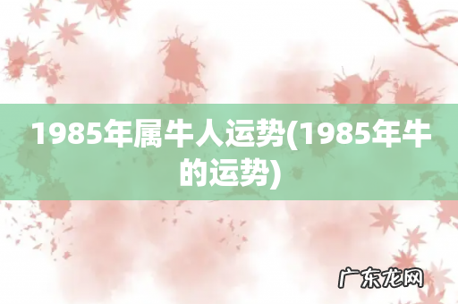 1985年牛的运势 1985年属牛人运势