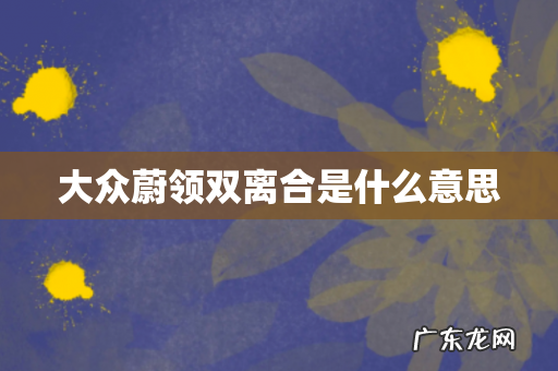 大众蔚领双离合是什么意思