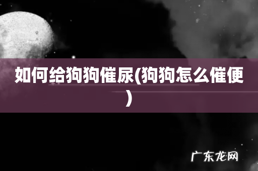 狗狗怎么催便 如何给狗狗催尿