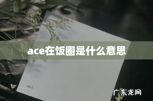 ace在饭圈是什么意思