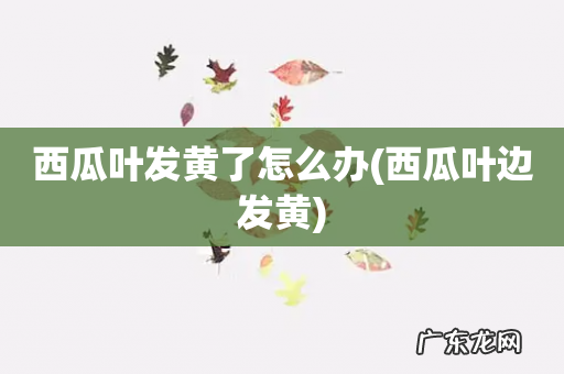 西瓜叶边发黄 西瓜叶发黄了怎么办