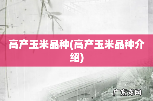 高产玉米品种介绍 高产玉米品种