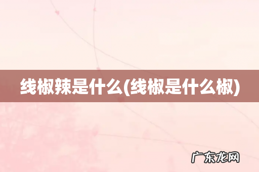 线椒是什么椒 线椒辣是什么