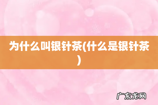 什么是银针茶 为什么叫银针茶