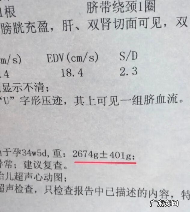 B超数据 b超数据参考标准