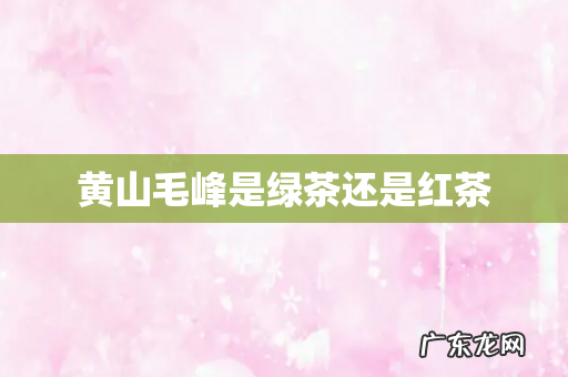 黄山毛峰是绿茶还是红茶