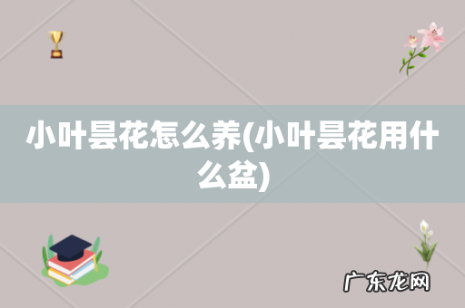 小叶昙花用什么盆 小叶昙花怎么养