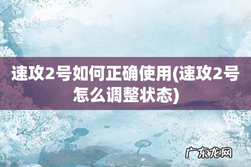 速攻2号怎么调整状态 速攻2号如何正确使用