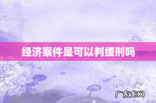 经济案件是可以判缓刑吗