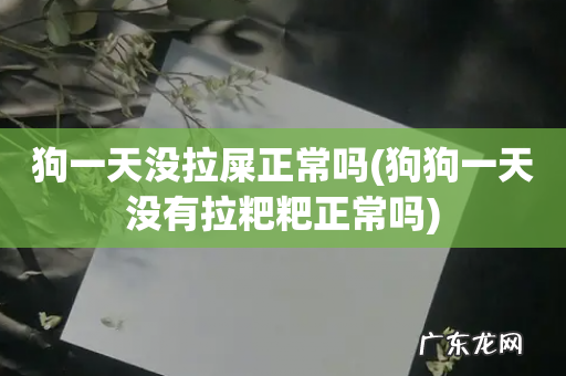 狗狗一天没有拉粑粑正常吗 狗一天没拉屎正常吗