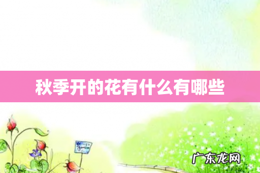秋季开的花有什么有哪些