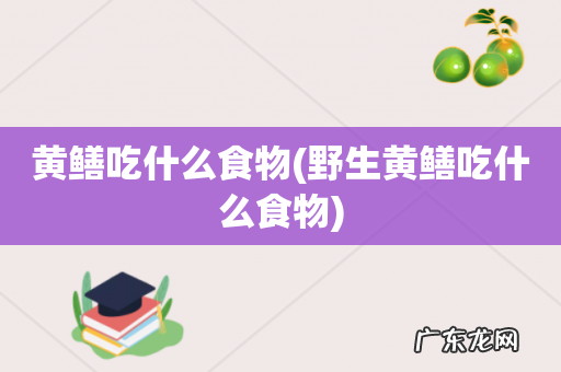 野生黄鳝吃什么食物 黄鳝吃什么食物