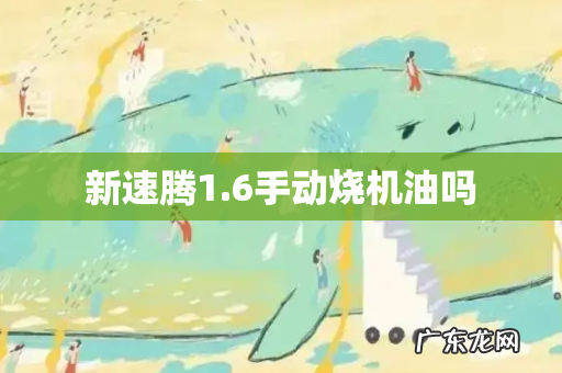 新速腾1.6手动烧机油吗