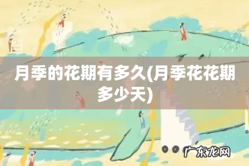 月季花花期多少天 月季的花期有多久