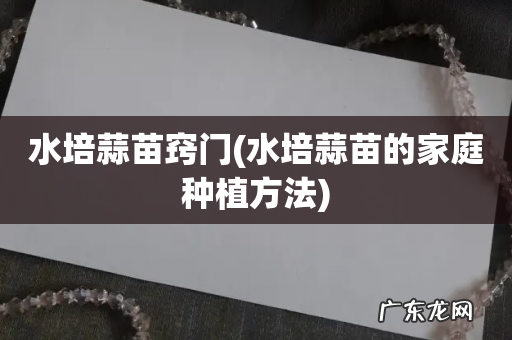 水培蒜苗的家庭种植方法 水培蒜苗窍门