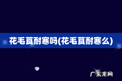 花毛茛耐寒么 花毛莨耐寒吗