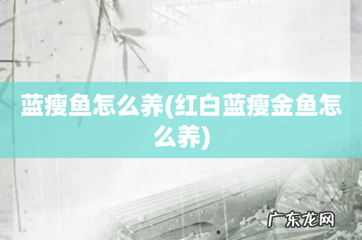 红白蓝瘦金鱼怎么养 蓝瘦鱼怎么养