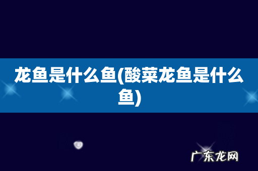 酸菜龙鱼是什么鱼 龙鱼是什么鱼