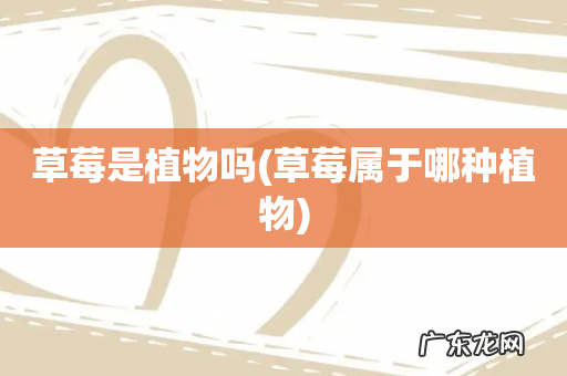 草莓属于哪种植物 草莓是植物吗