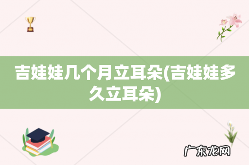 吉娃娃多久立耳朵 吉娃娃几个月立耳朵